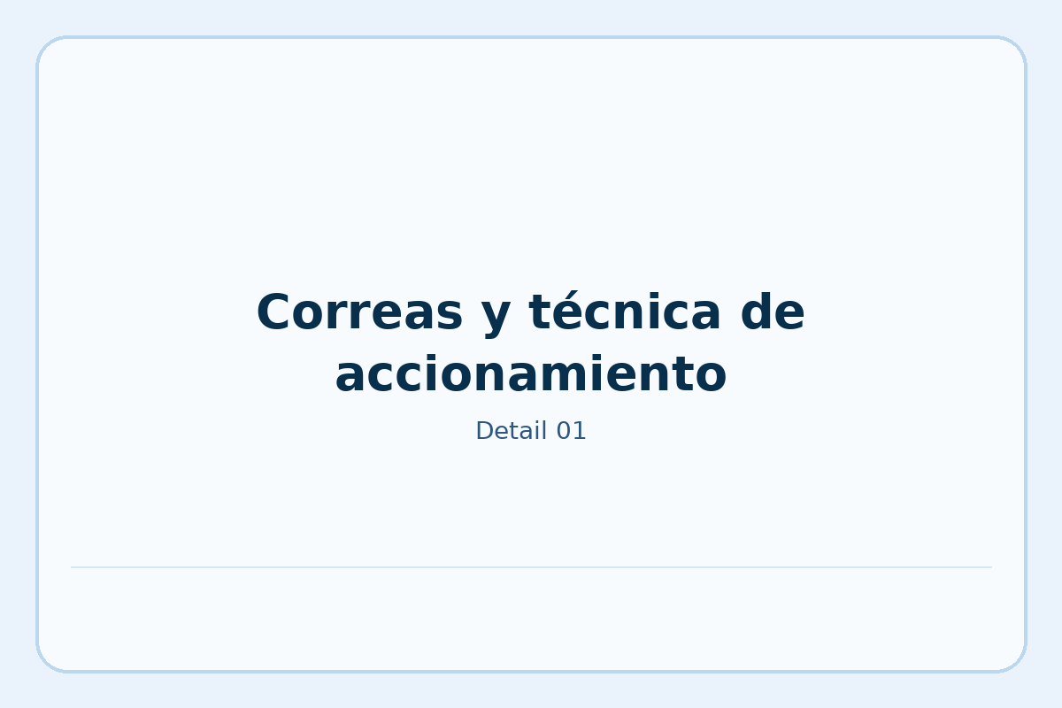 Correas y técnica de accionamiento